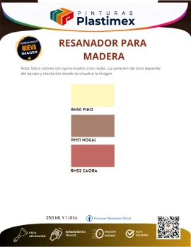 Muestrario oficial Resanador para madera